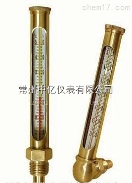 WNY-11銅金(jin)屬套溫度計廠家(jia)