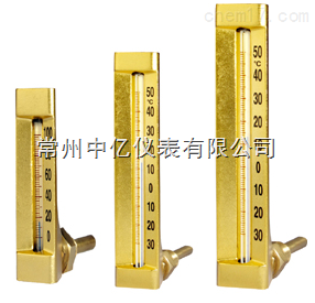 L006-B中億V型(xíng)溫度計(ji)廠家