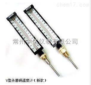 XY-020闆式殺(sha)菌鍋溫(wen)度計廠(chǎng)家